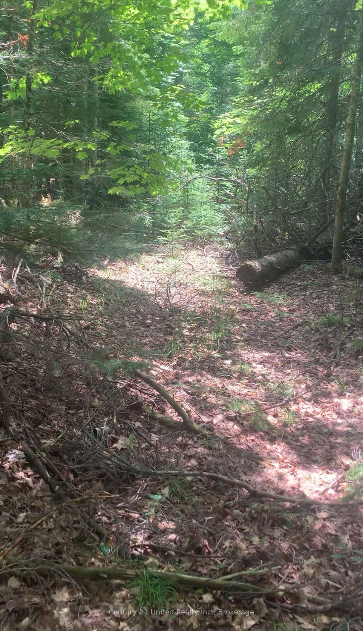 N/A Highway 28 (North Lot), Highlands East — Land for sale, photo 1