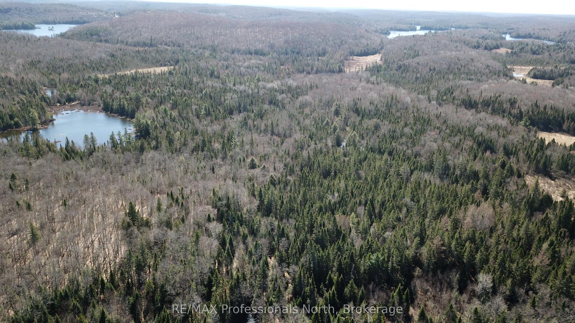 00 SOUTH HORN LAKE Road — photo 1