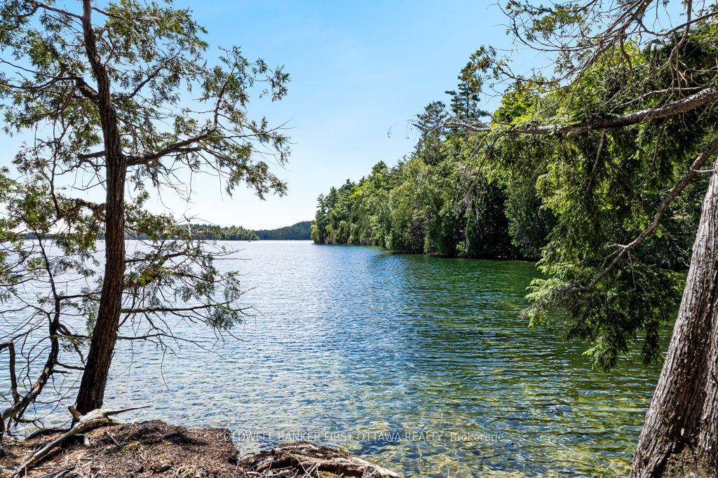 000 Palmerston Lake N/A — photo 1