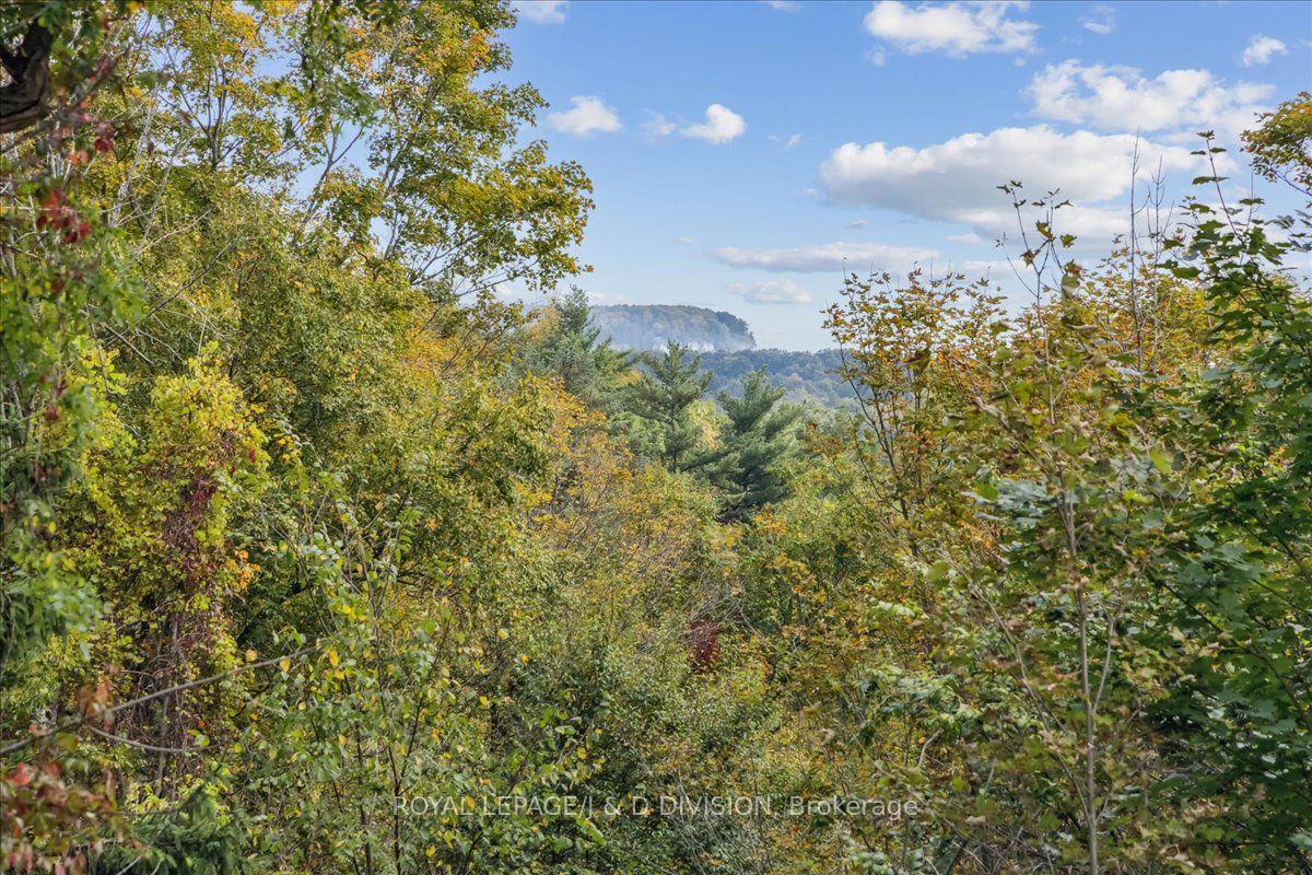 7095 Guelph Line — photo 1