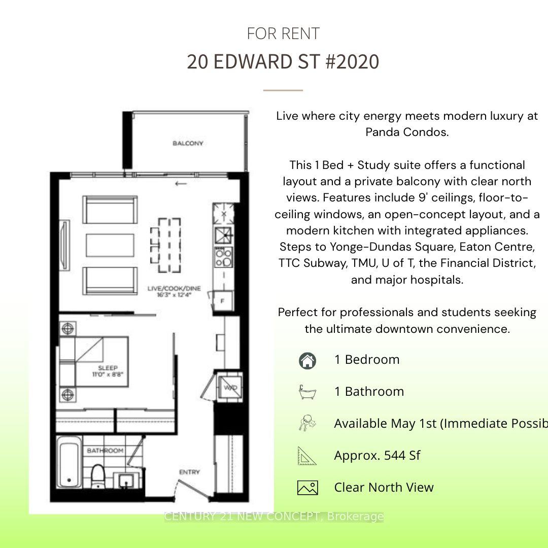 20 Edward Street 2020 #2020 — photo 1