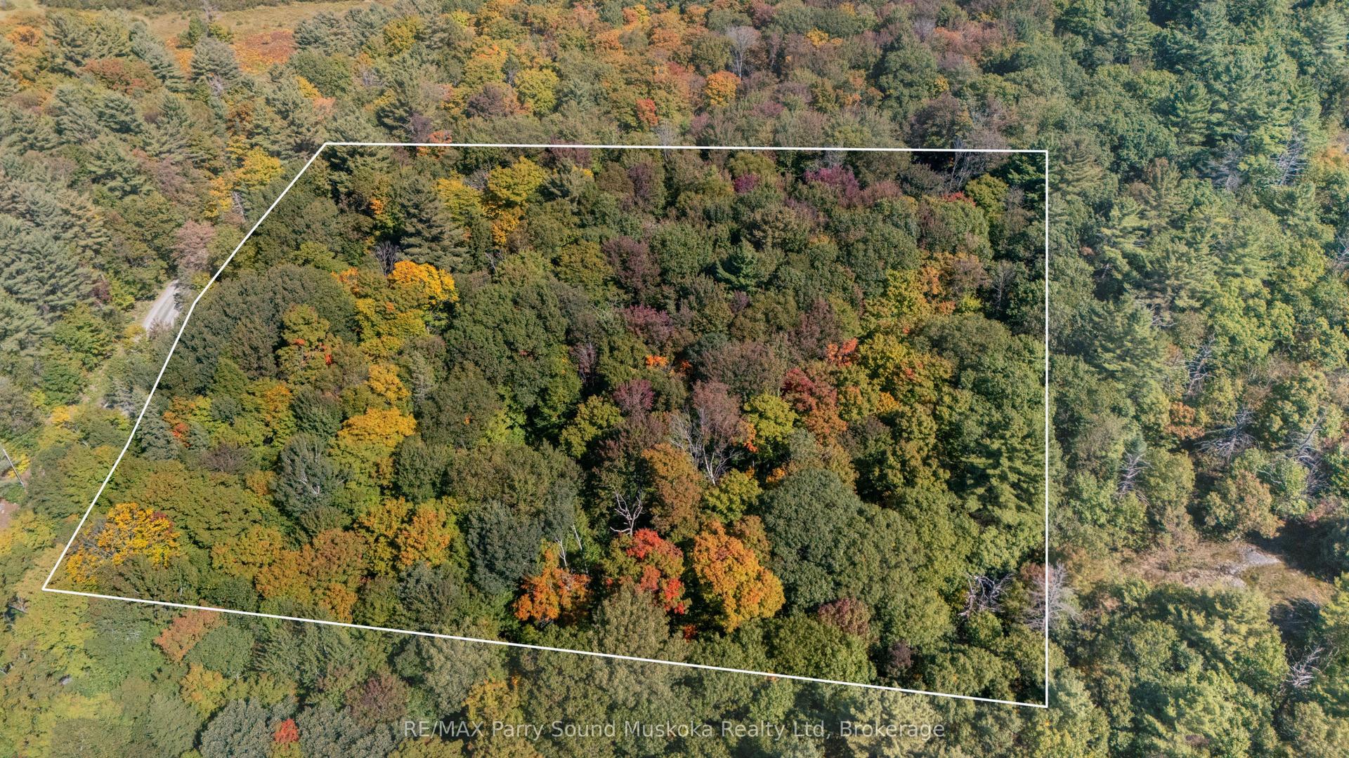 72 McCauley Road, Seguin — Land for sale, photo 1