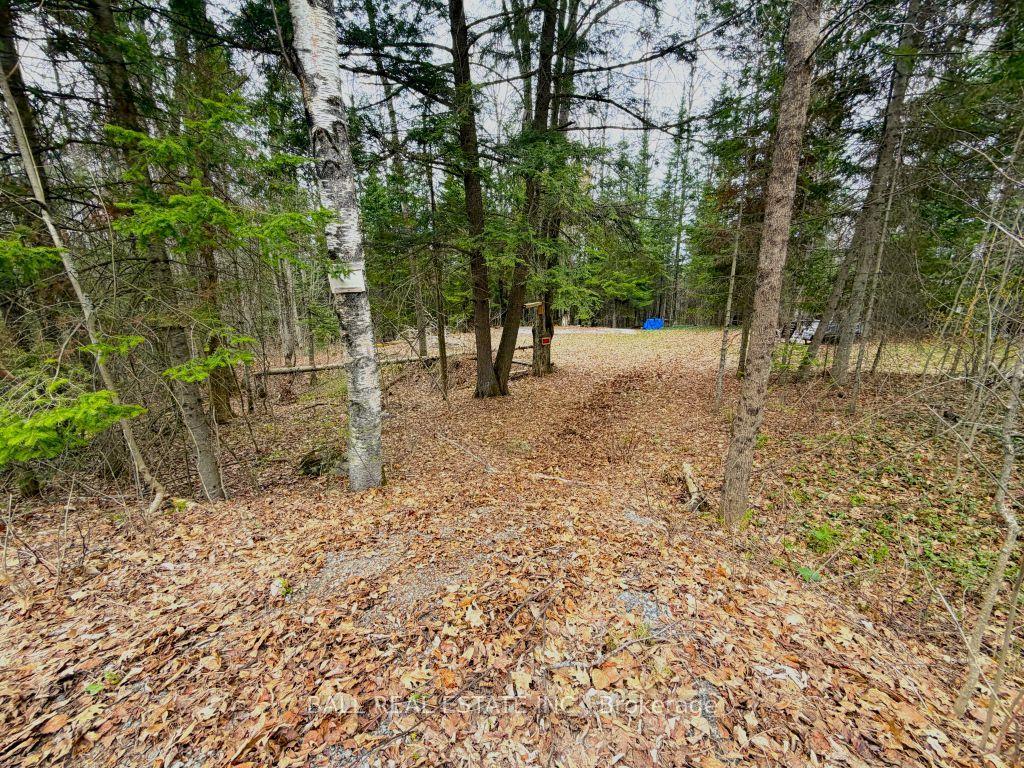 0 Quarry Road — photo 1