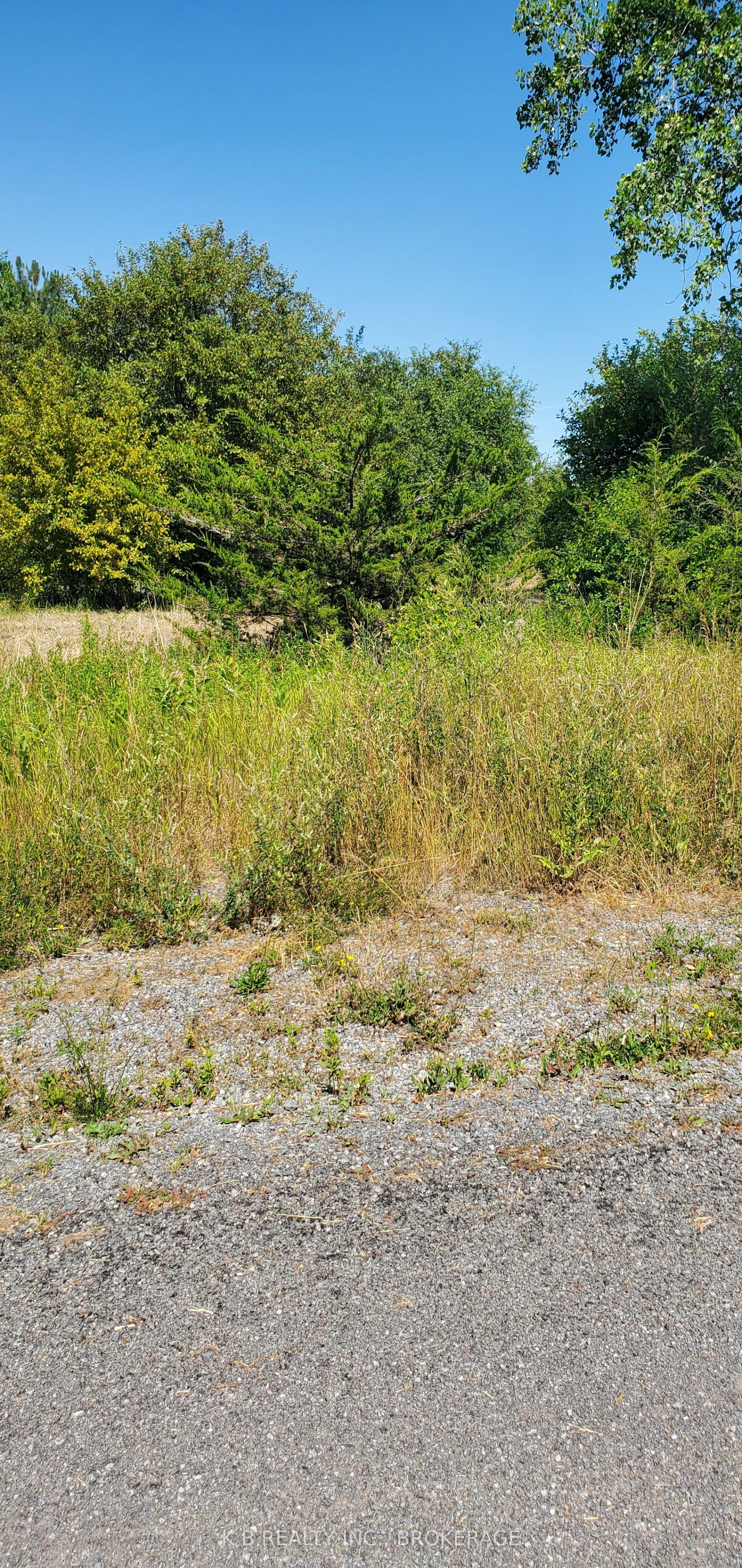 66 Dorland Drive — photo 1