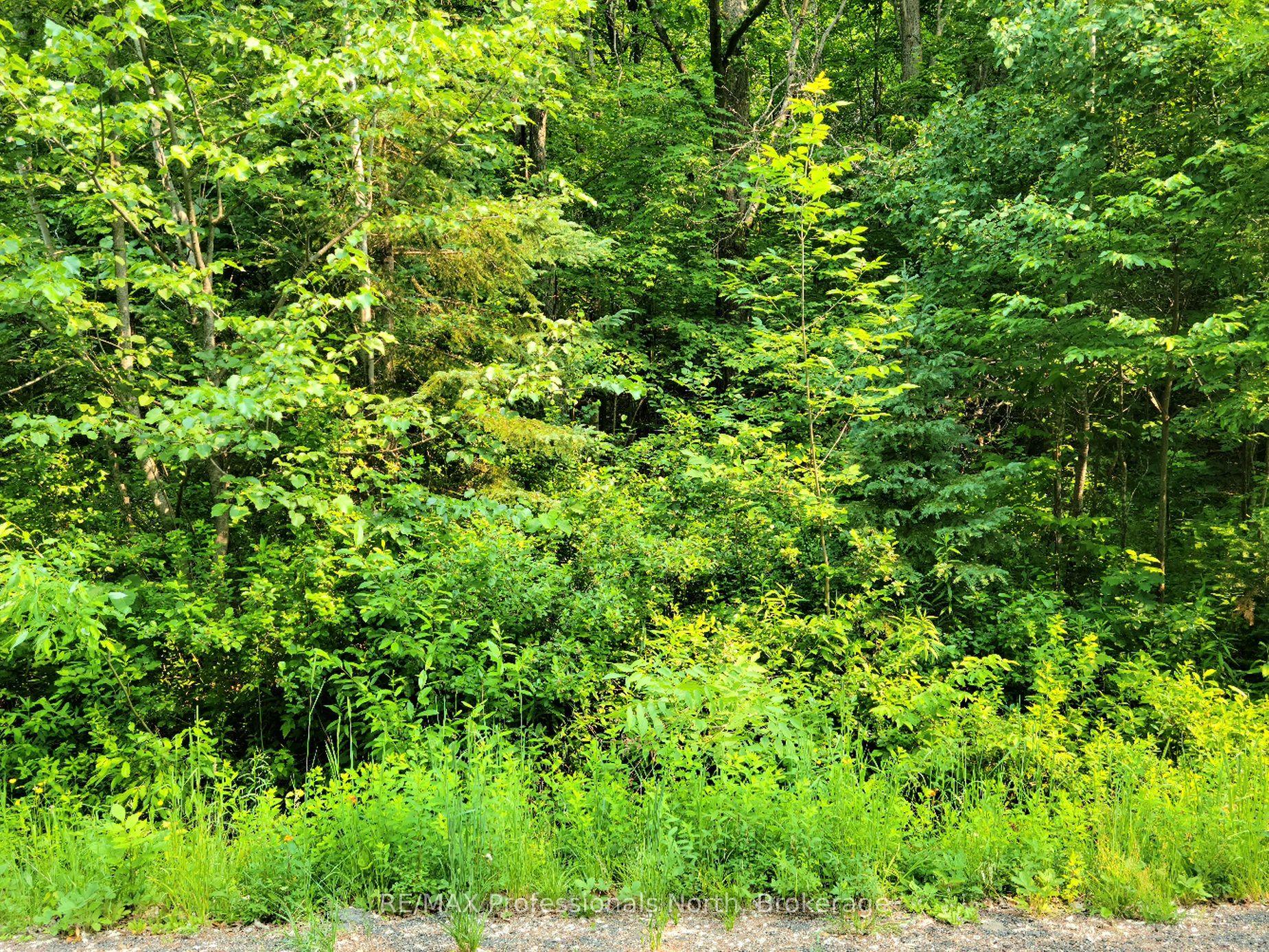 26 MOUNT VERNON Trail 19 #19, Huntsville — Land for sale, photo 1