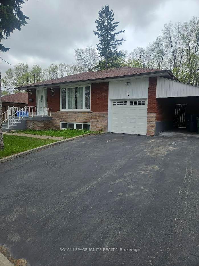 16 Cicerella Crescent Main #Main — photo 1