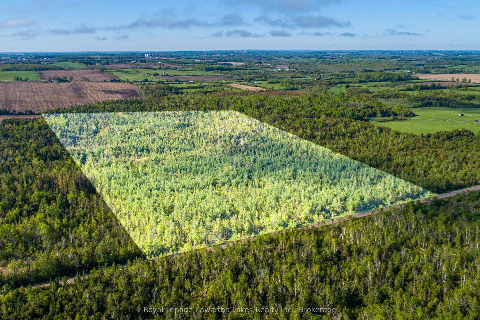 Lot 3 Black School Road, Kawartha Lakes — Land for sale, photo 1