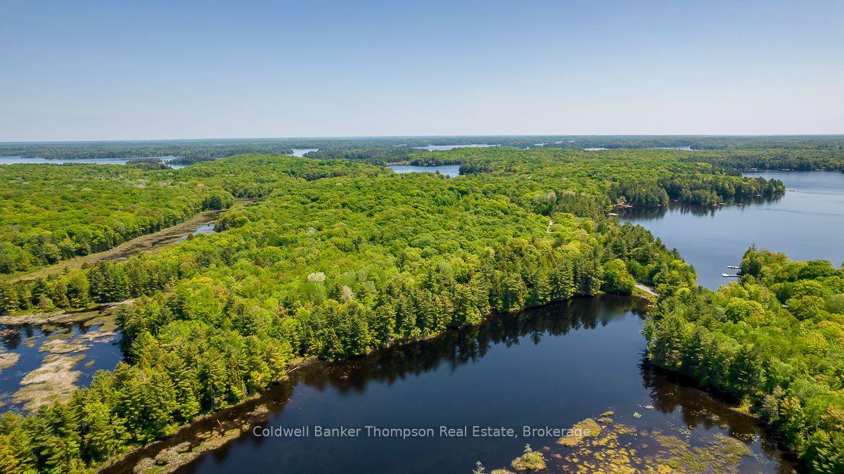 29 BEAR LAKE Road — photo 1