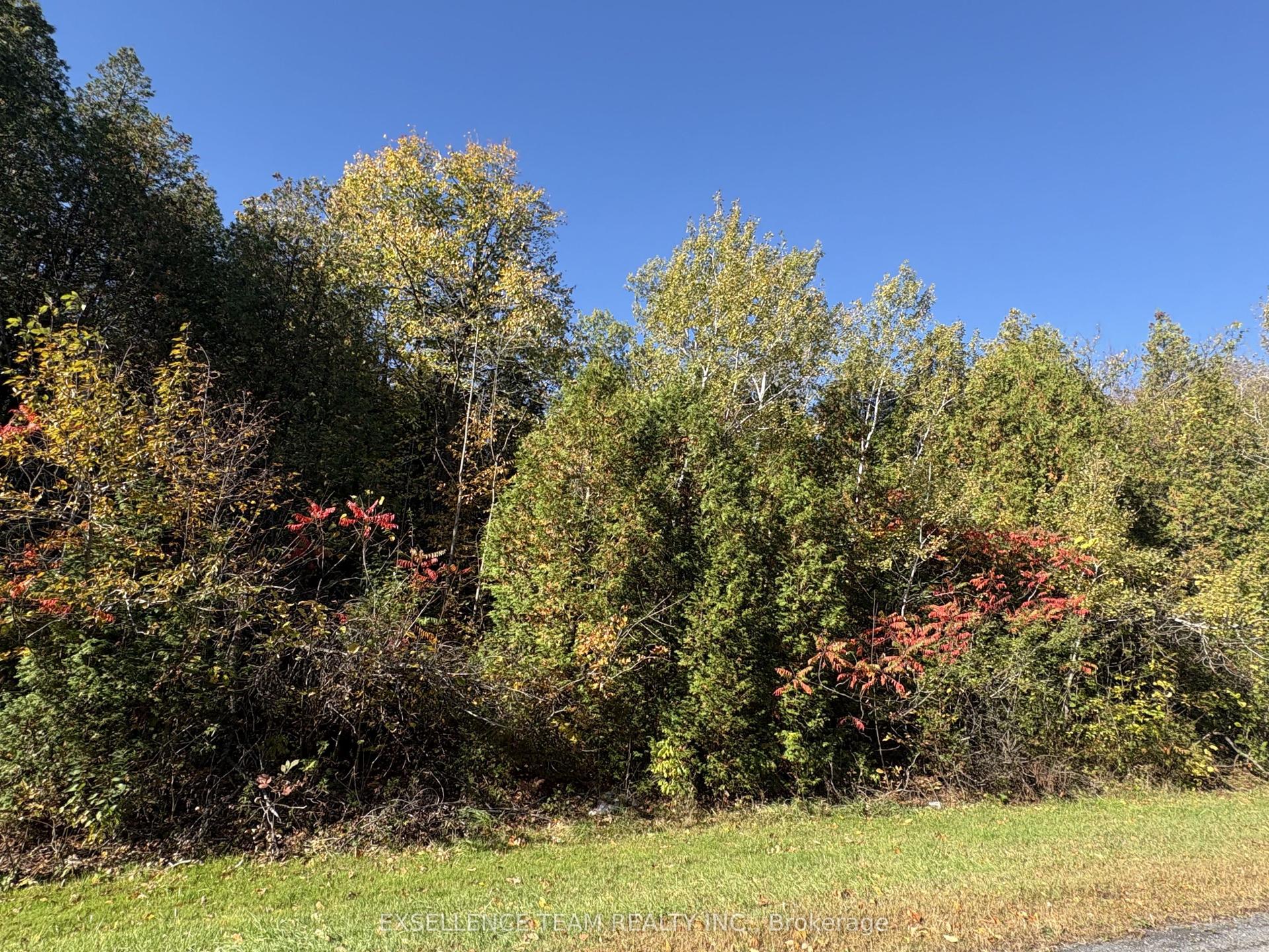 N/A Glen Roy Road, South Glengarry — Land for sale, photo 1