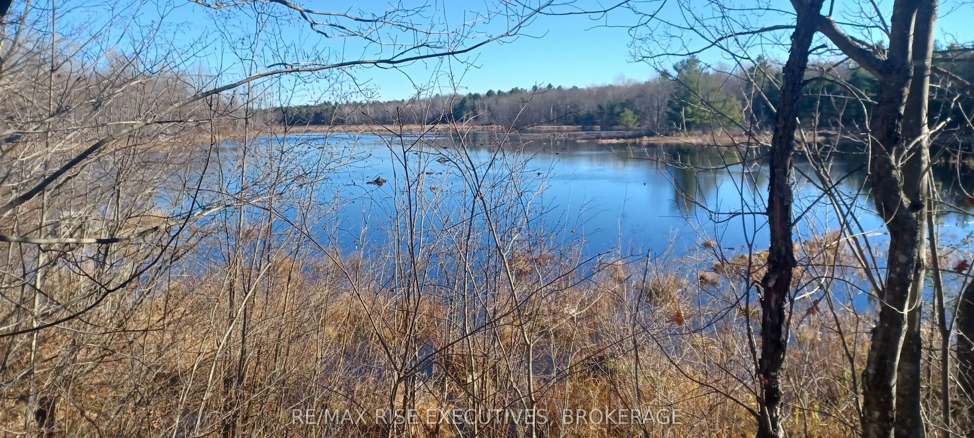 KALADAR CON 9 LT 21 N/A — photo 1