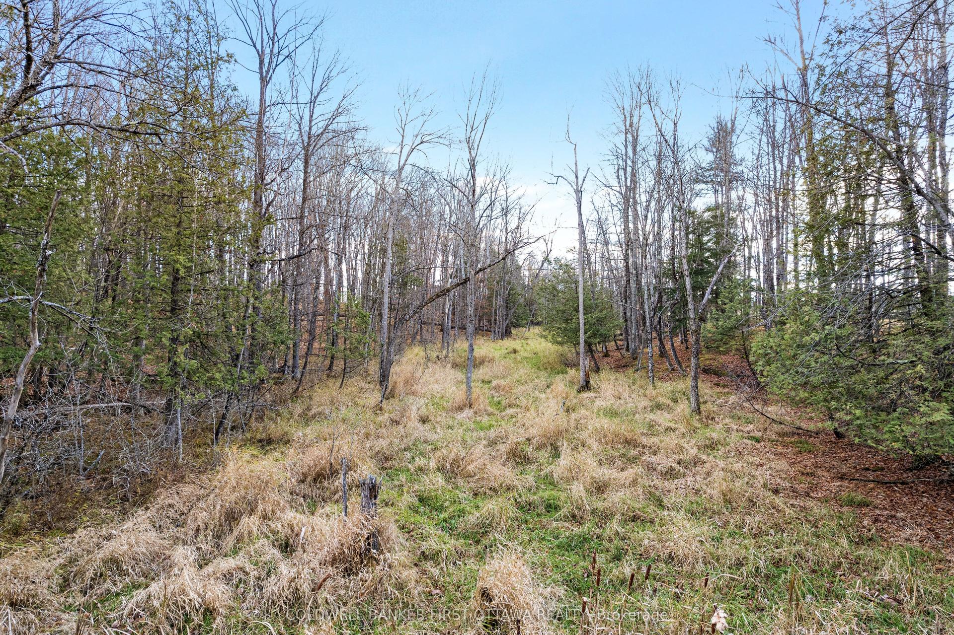 PT 1-00 Herron Mills Road — photo 1