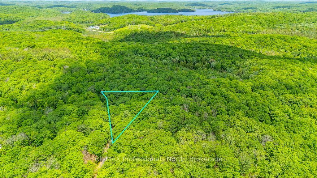 TBD Wigamog Road, Minden Hills — Land for sale, photo 1
