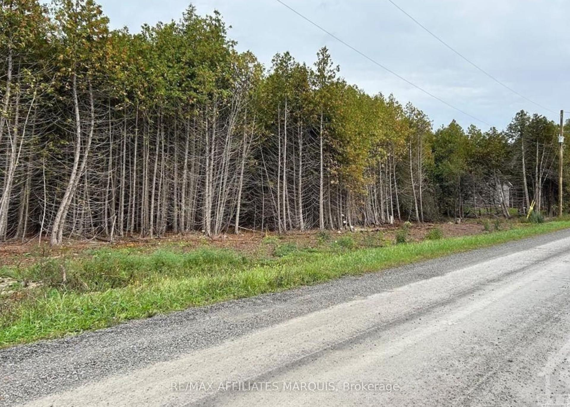 0 Rocksprings Road, Elizabethtown-Kitley — Land for sale, photo 1