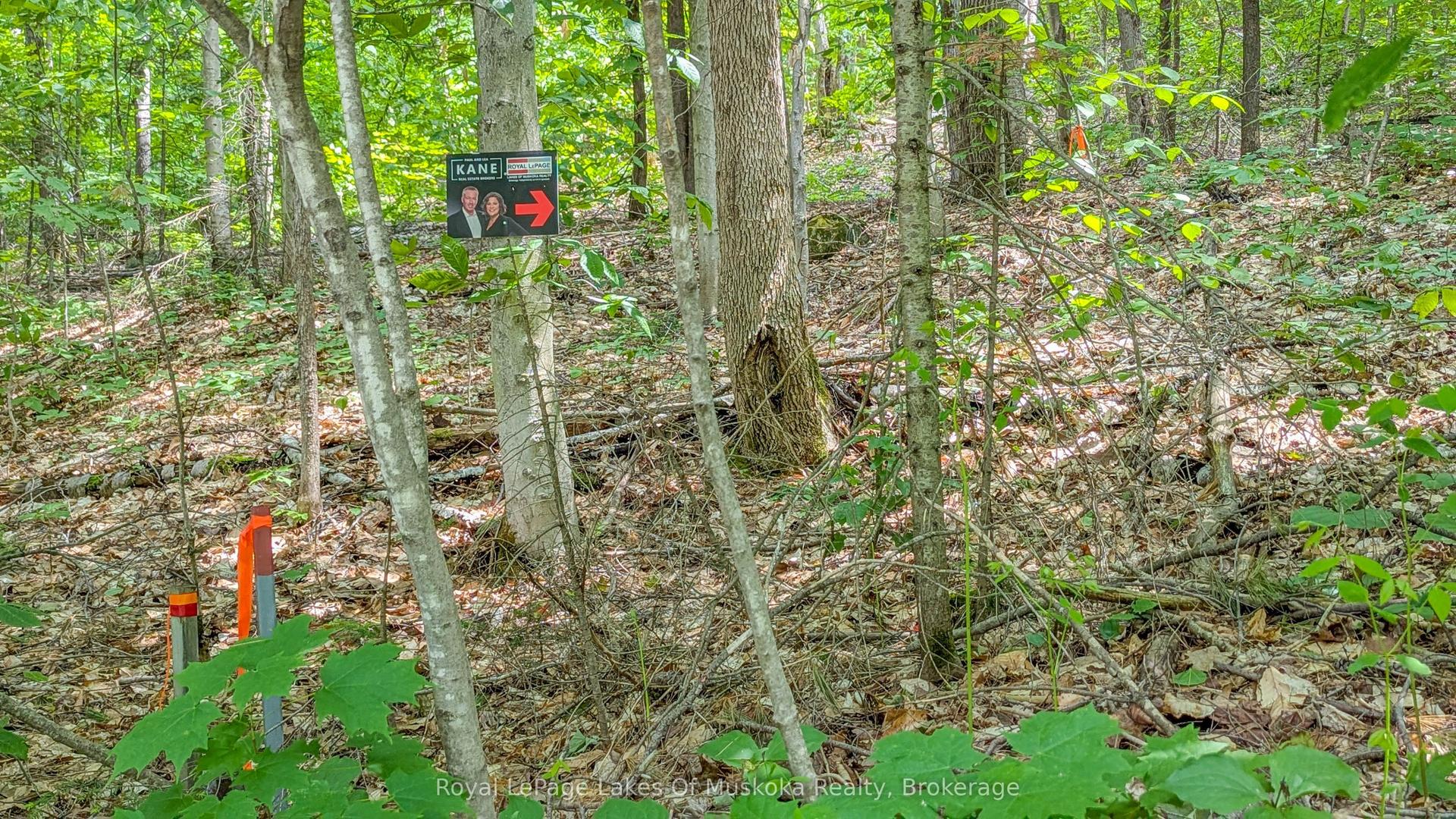 0 Rosseau Lake Rd 1 N/A — photo 1