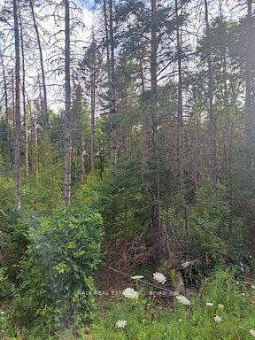 N/A Cordova Road — photo 1