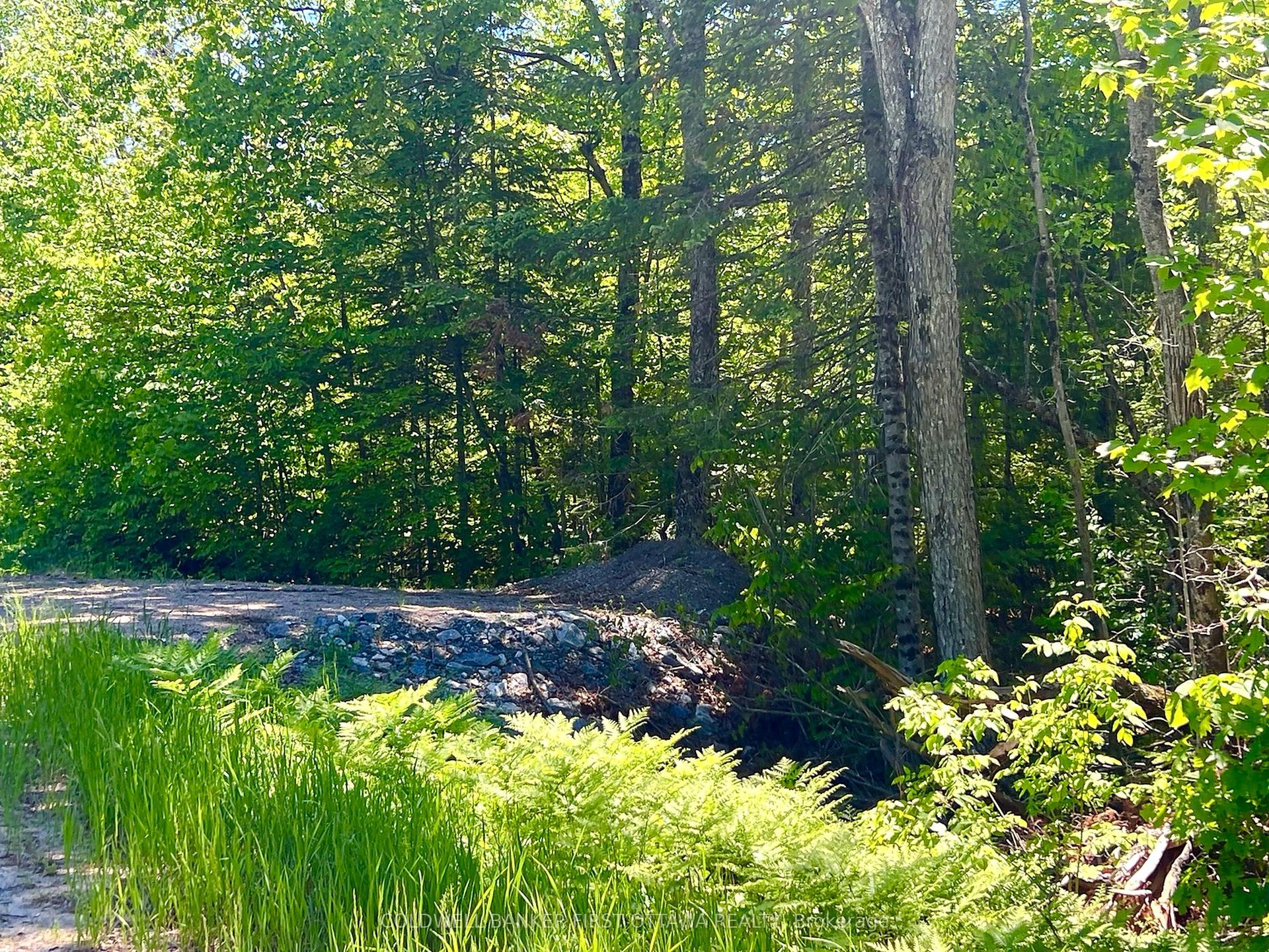 00 Buckshot Lake Road, Addington Highlands — Land for sale, photo 1