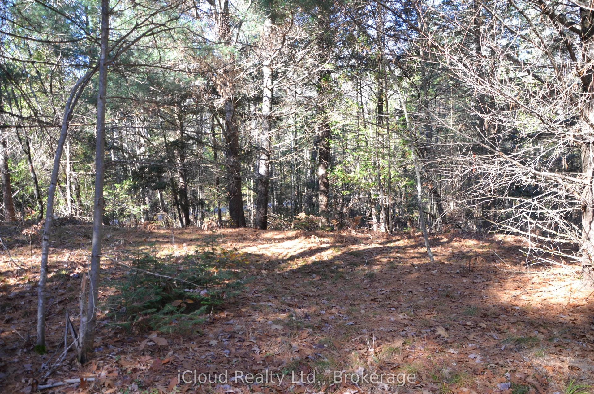 3 Parker Bay Road, Whitestone — Land for sale, photo 1