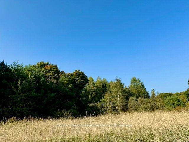 0 Hwy 35 Road, Kawartha Lakes — Land for sale, photo 1