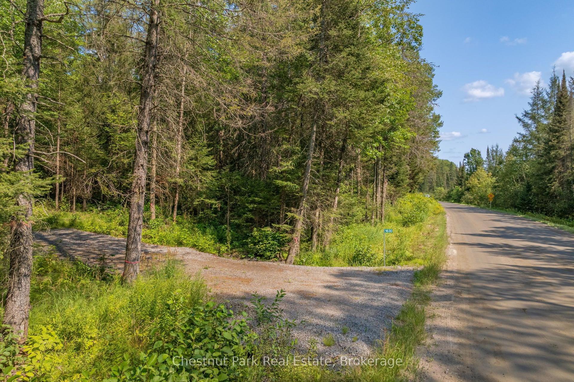 1630 Midlothian Road, Ryerson — Land for sale, photo 1