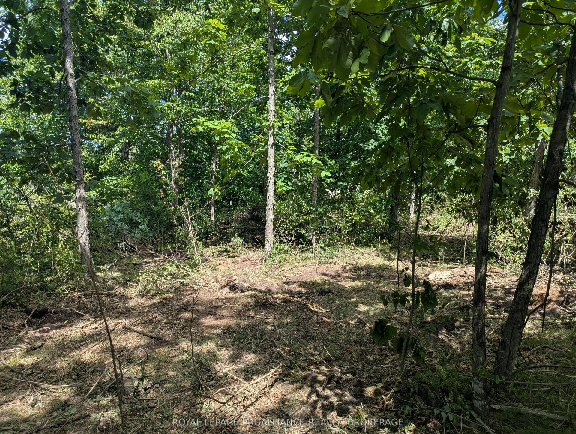 2621 4th Concession Road — photo 1