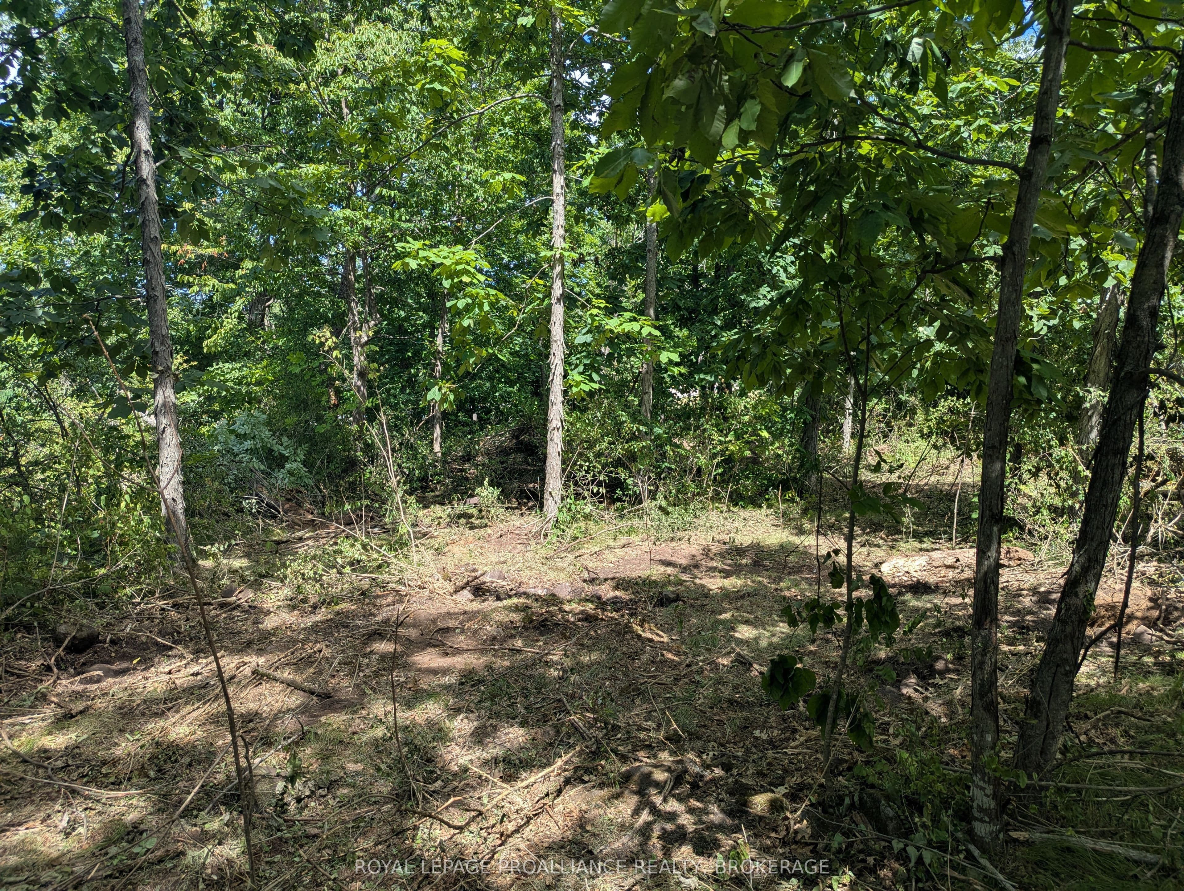 2621 4th Concession Road — photo 1