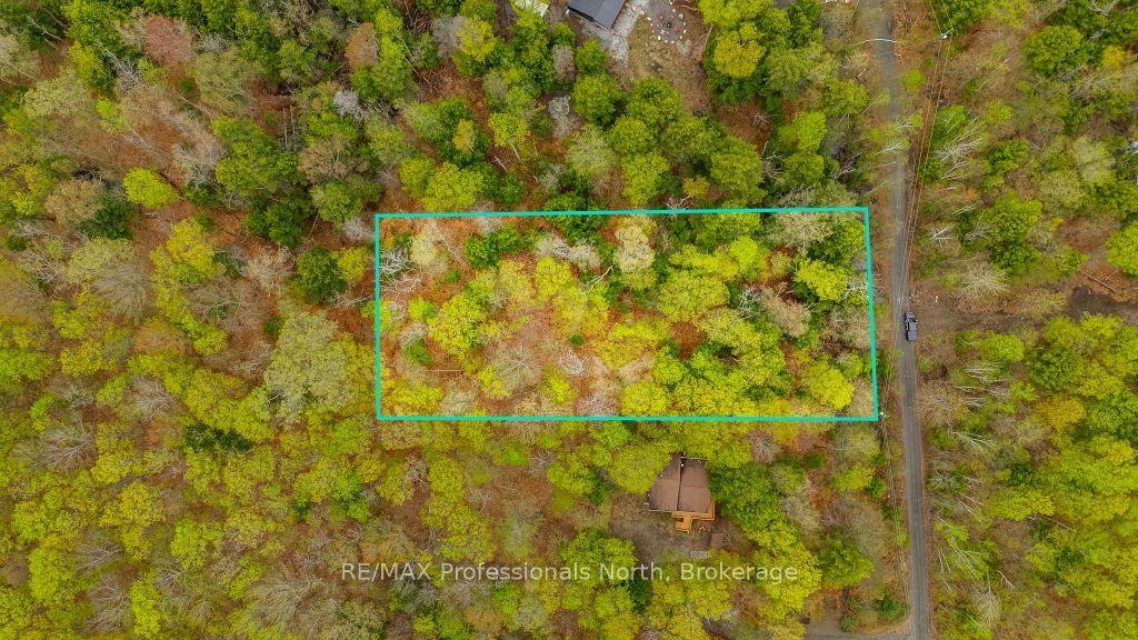 TBD Basshaunt Lake Road, Dysart et al — Land for sale, photo 1