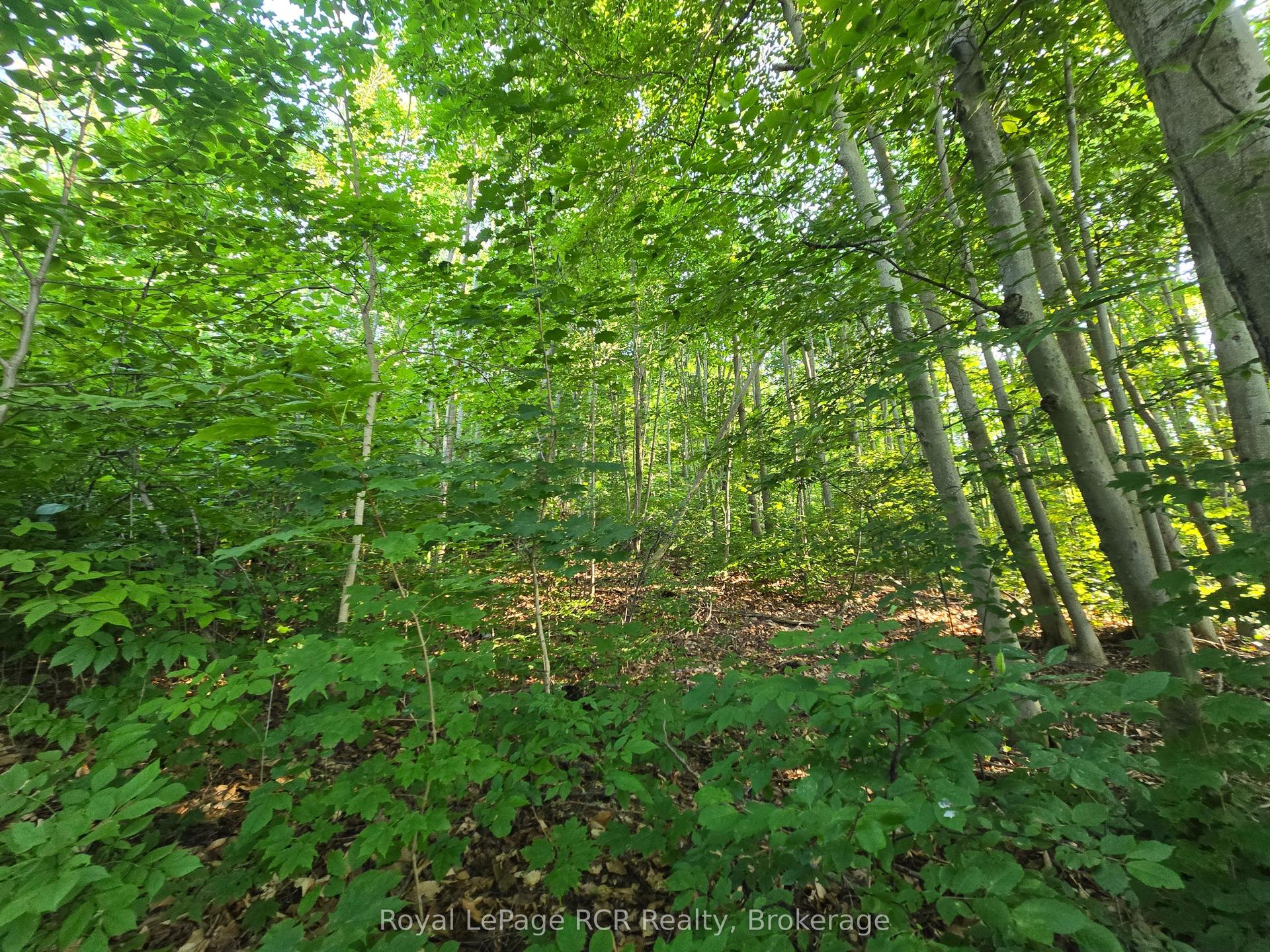 126 Old Highway 26 Highway — photo 1