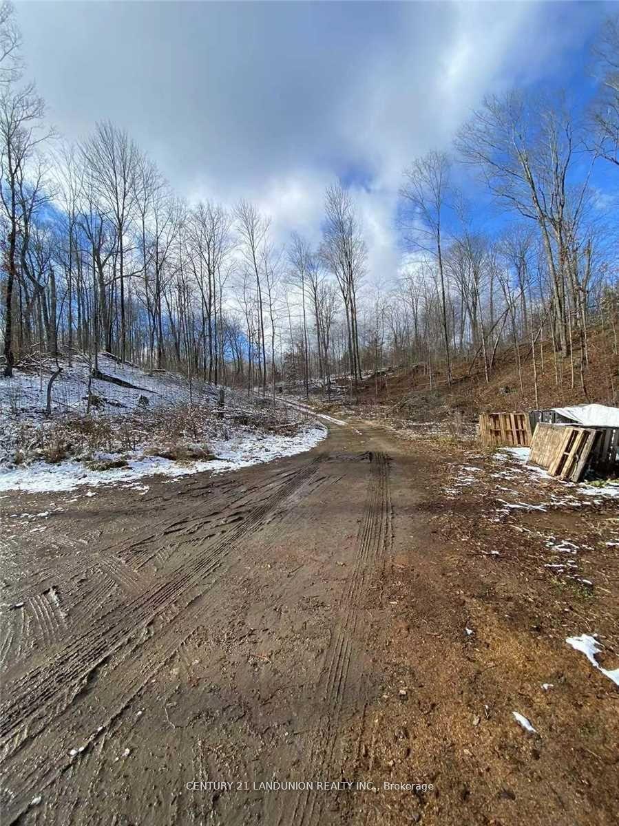 1091 Crystal Lake Road — photo 1