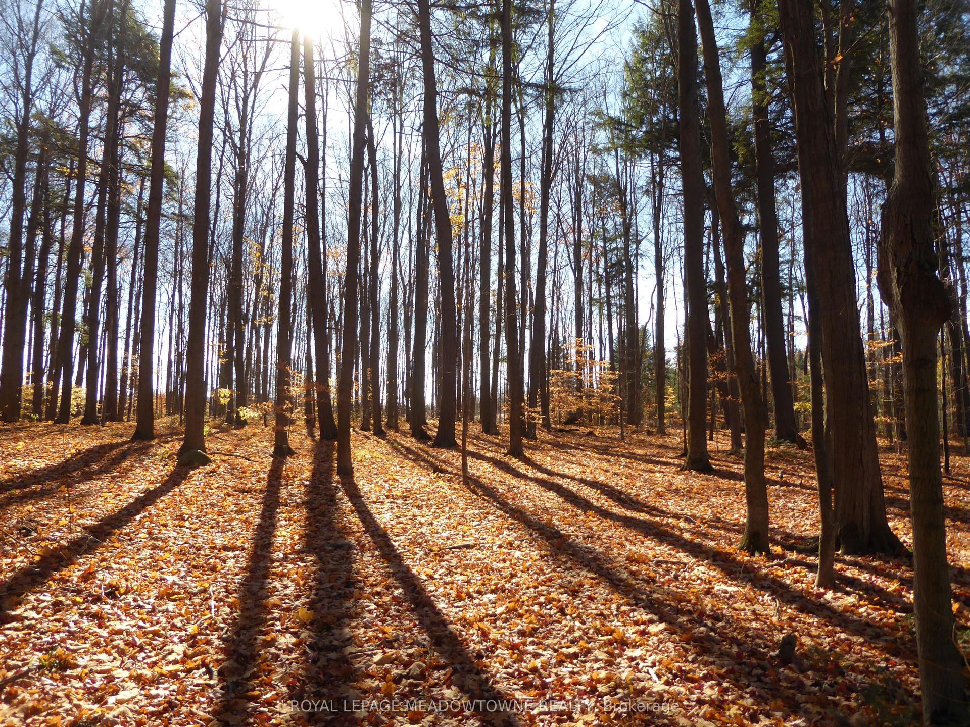 8949 Wellington Rd 22, Erin — Land for sale, photo 1