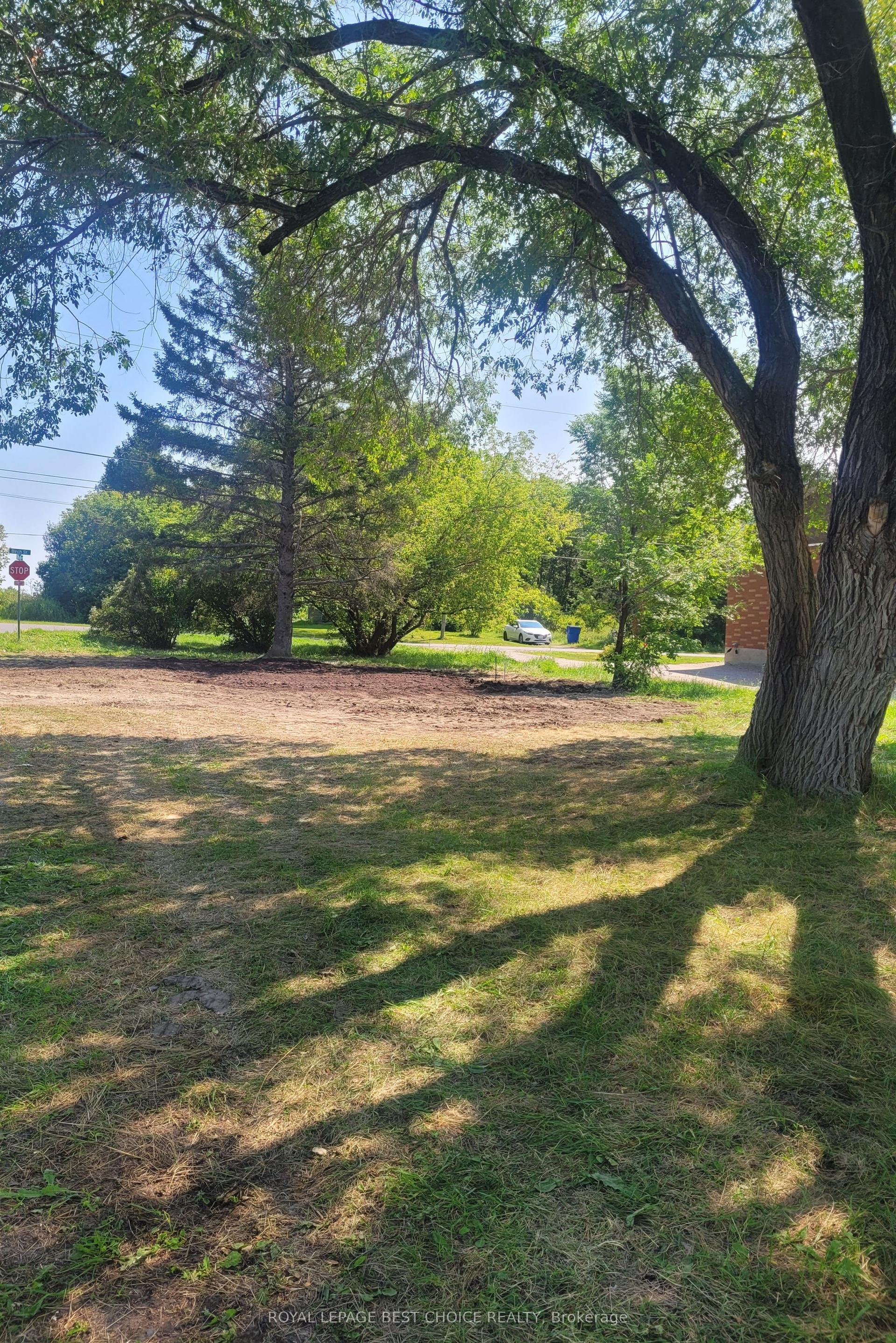 95 Birch Street, Temiskaming Shores — Land for sale, photo 1