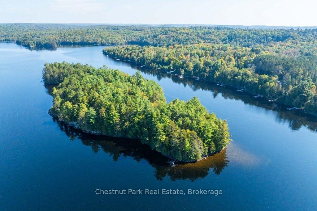 10000 Soyers - Brown Island, Minden Hills — Detached for sale, photo 1