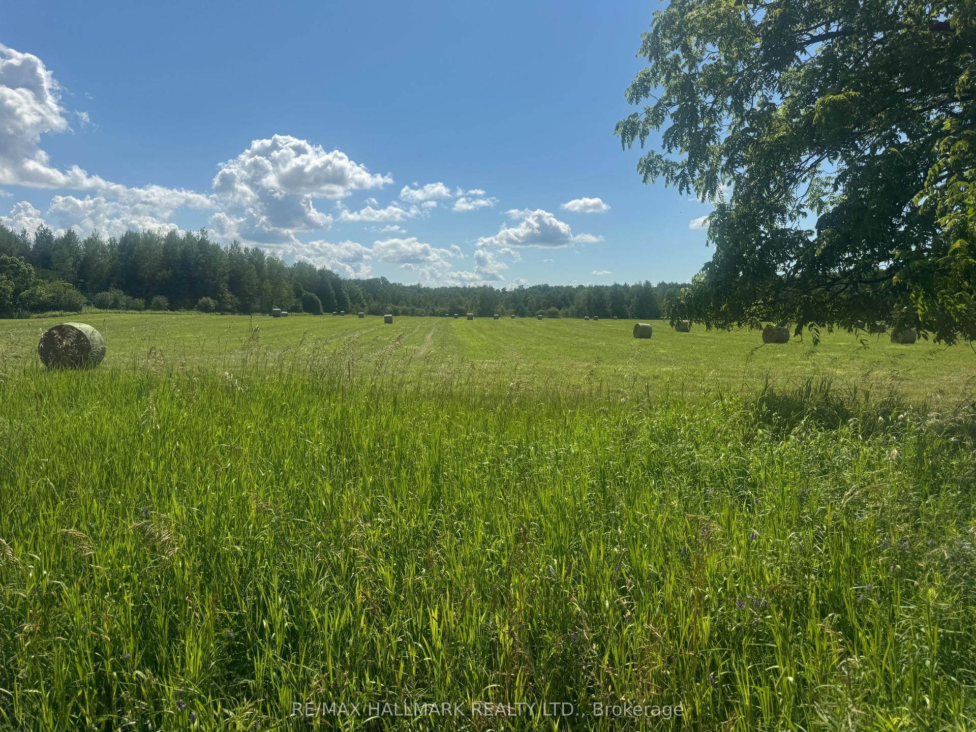17236 Kennedy Road, Whitchurch-Stouffville — Land for sale, photo 1