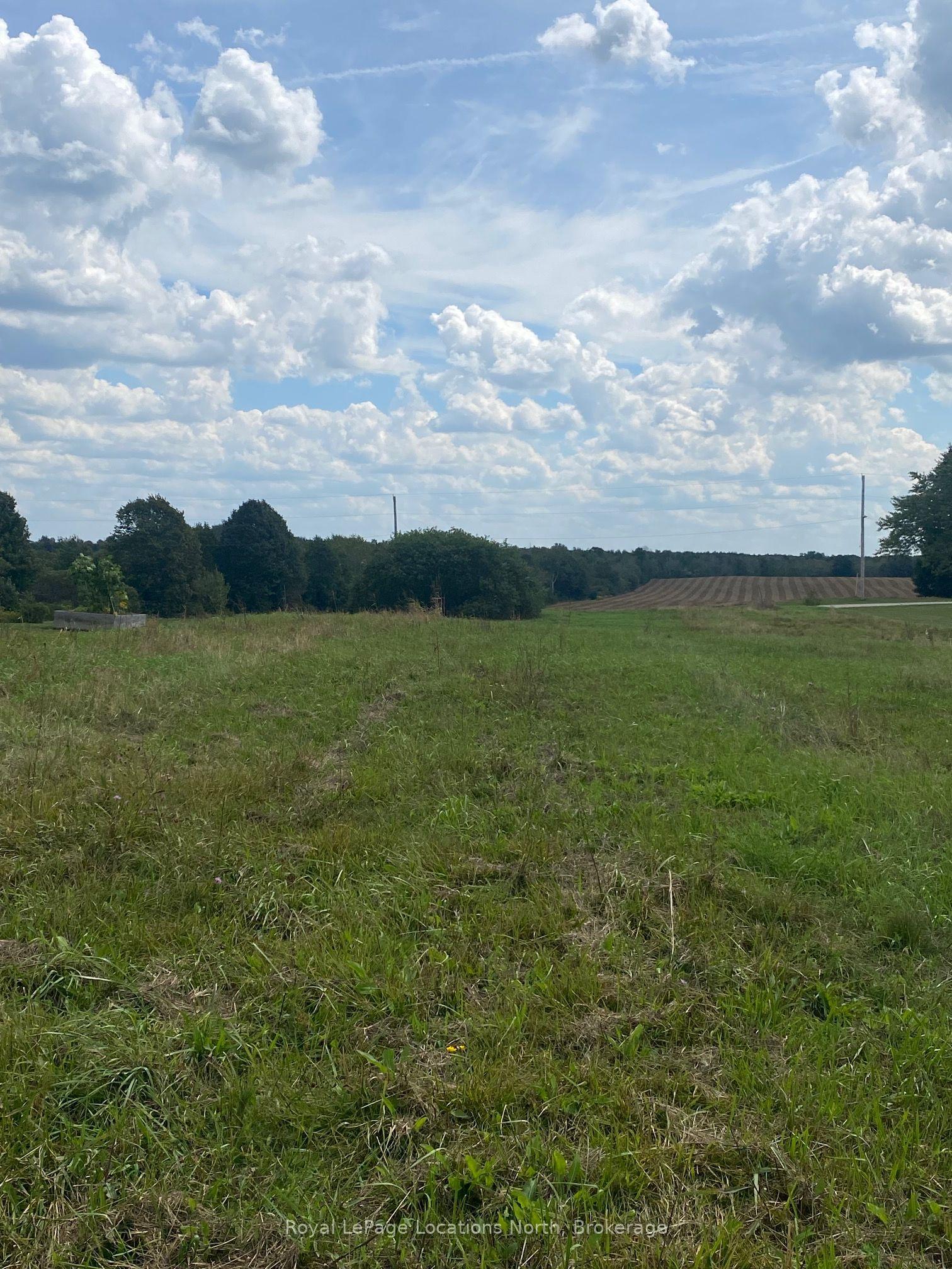 35 Nelson Street W — photo 1