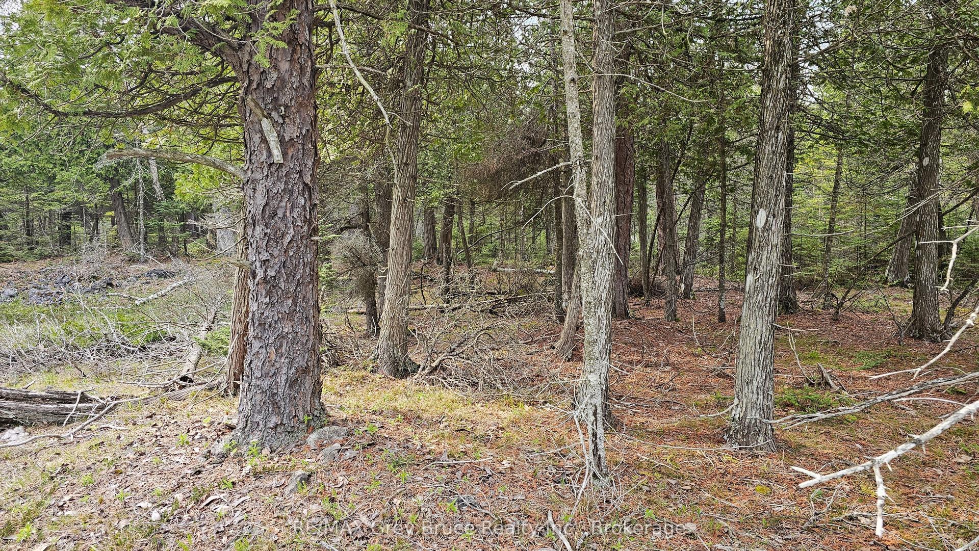 LT 255 Pedwell Pt. Drive — photo 1