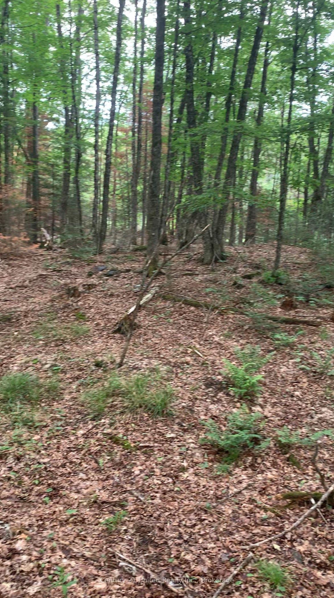 N/A Highway 28 (South Lot) N/A, Highlands East — Land for sale, photo 1