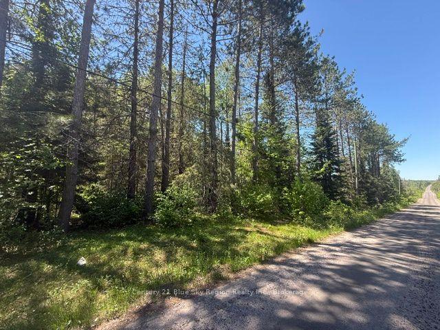 0 CON 12 PT LOT 11 Pearceley Road — photo 1