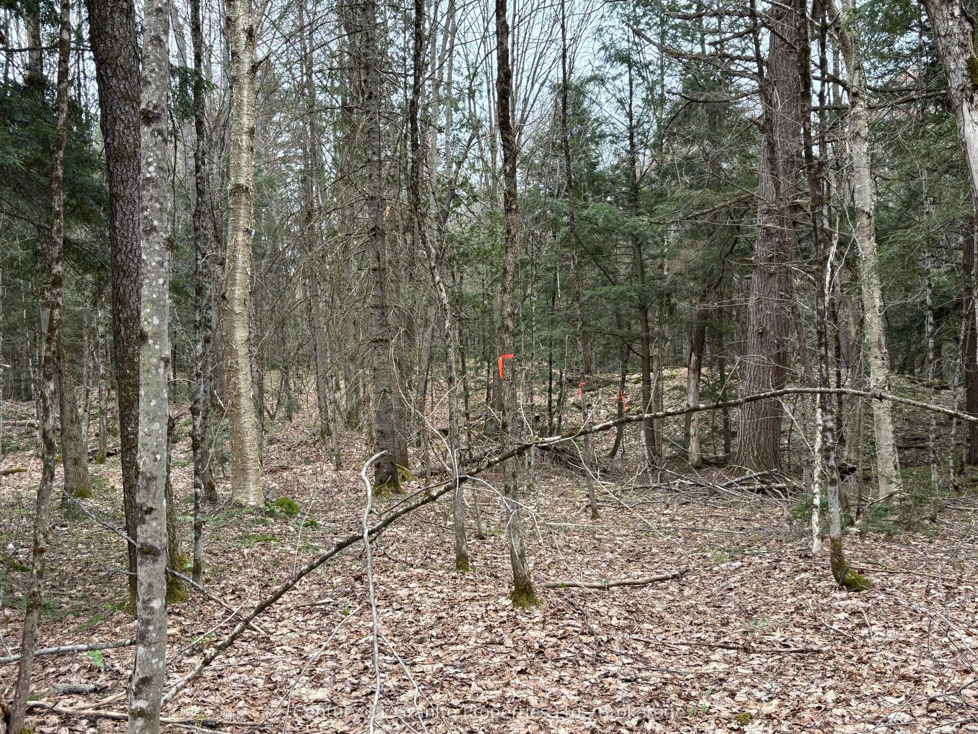 Lot 1 Loch Erne Road — photo 1