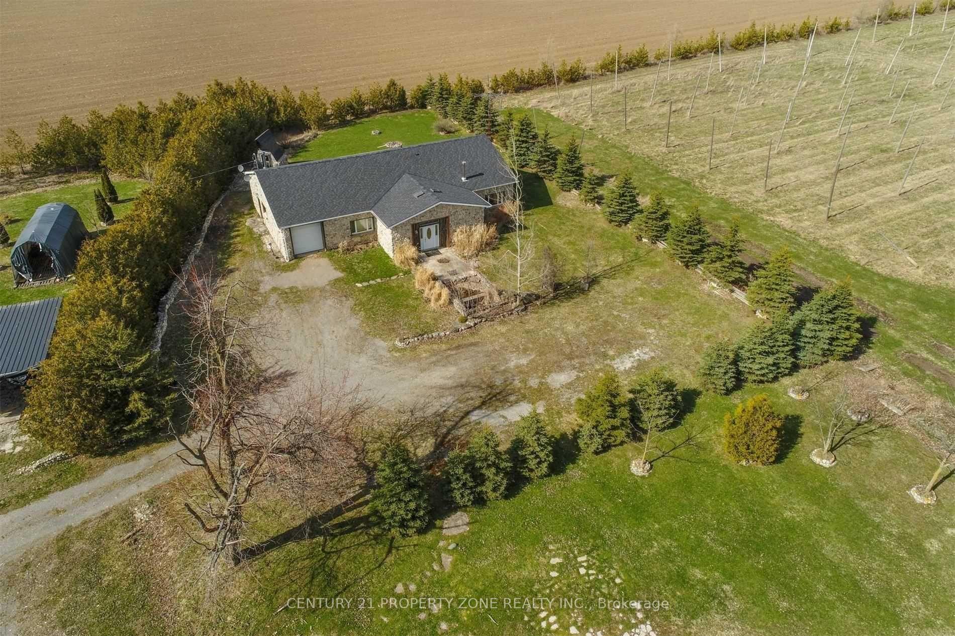 293199 8 Line — photo 1