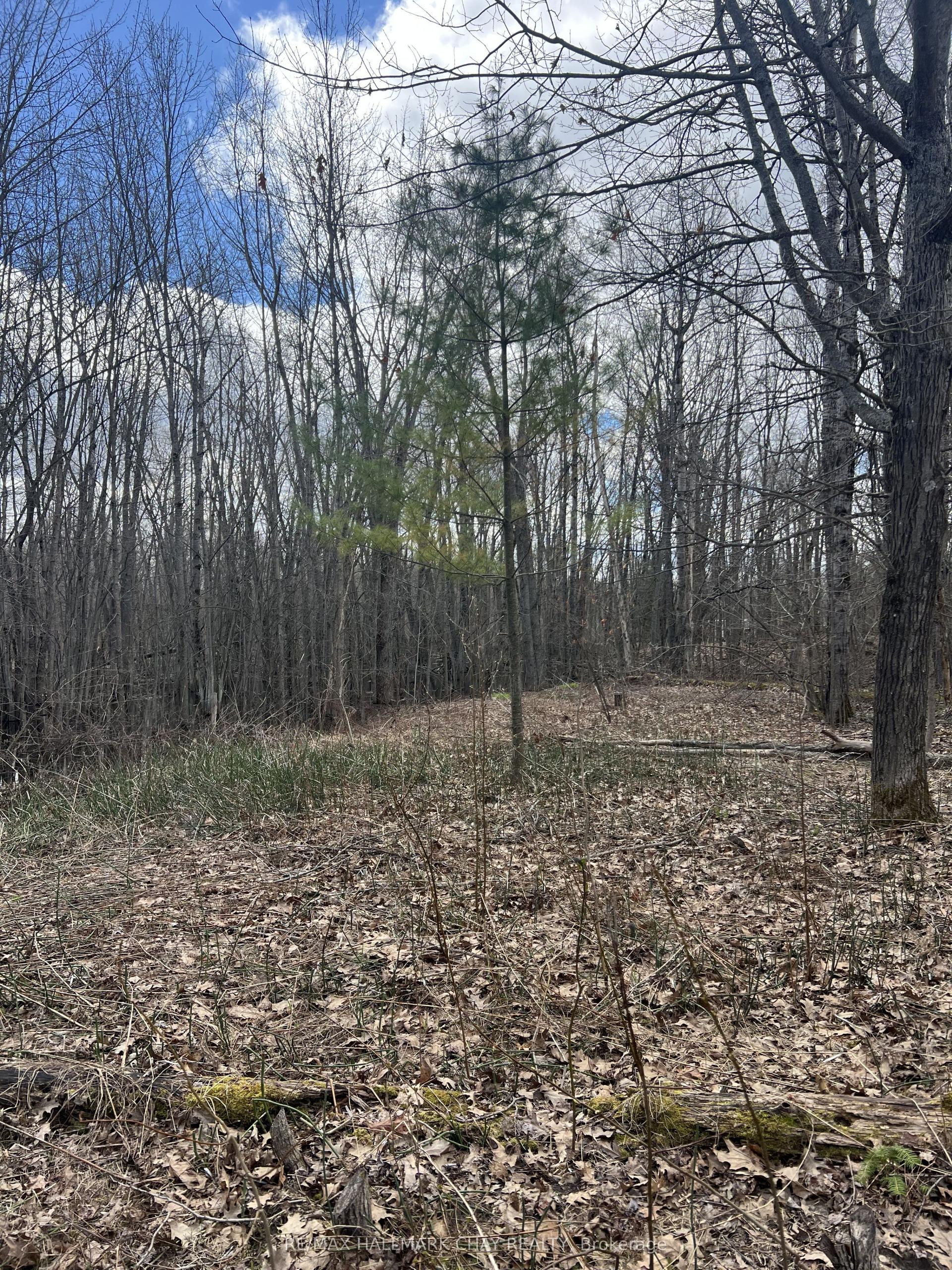 3159 Switch Road — photo 1