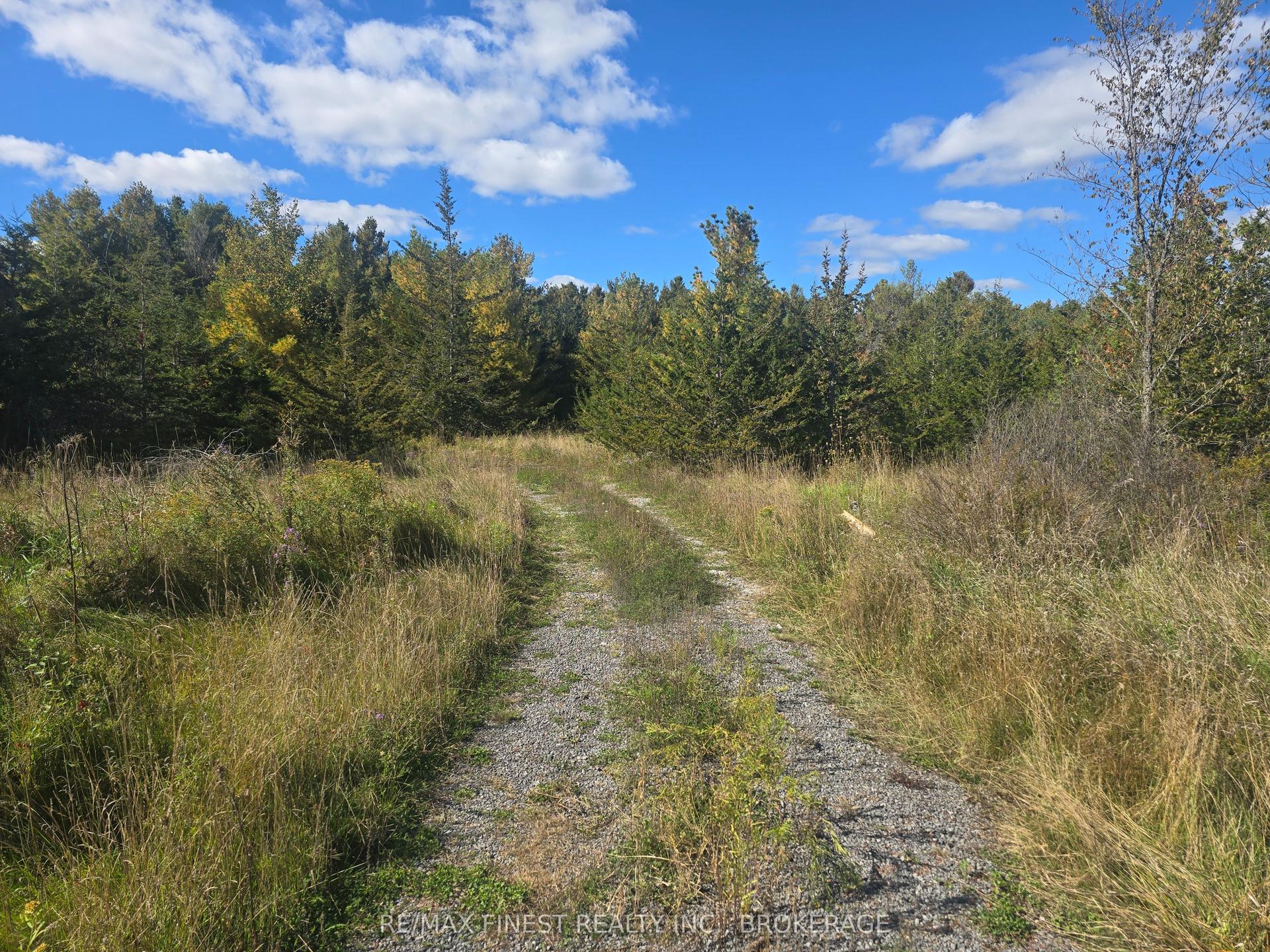 PT LT 23 & 24 Hunt Road, Stone Mills — Land for sale, photo 1