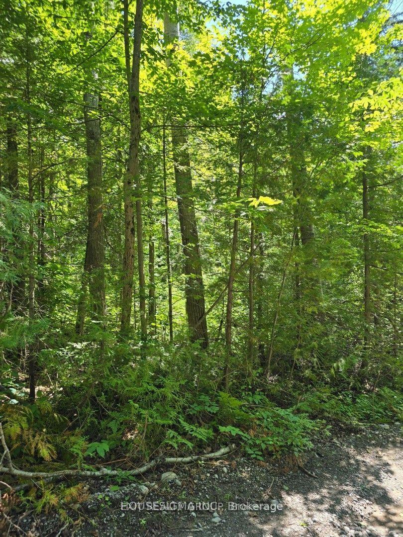 PT LT 3 Concession 8 PT 123 N/A, Trent Hills — Land for sale, photo 1