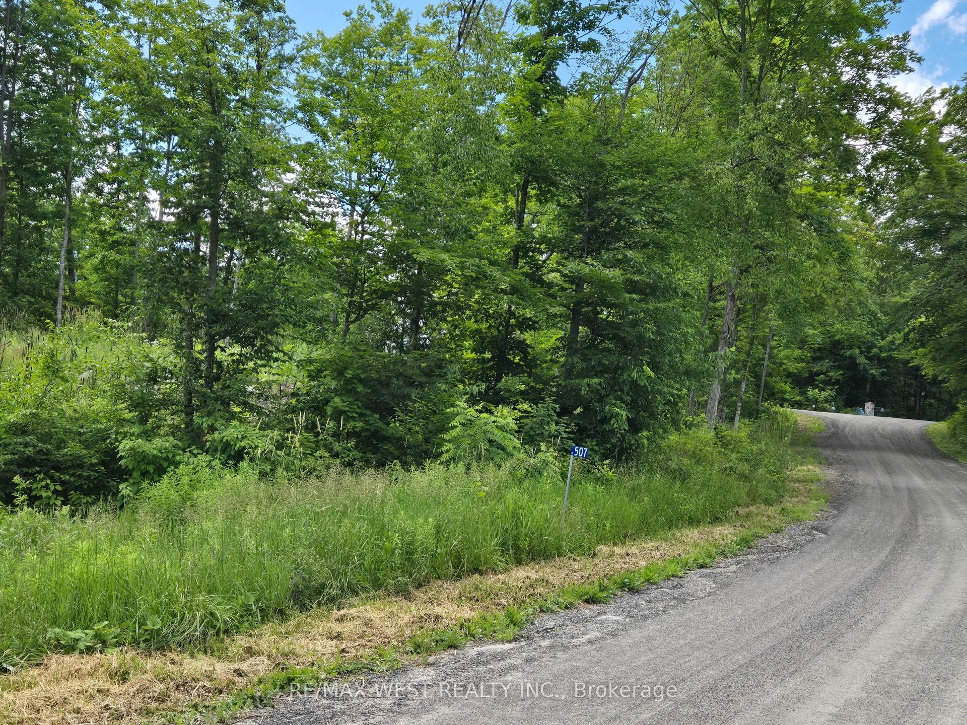 507 Black River Road, Tweed — Land for sale, photo 1