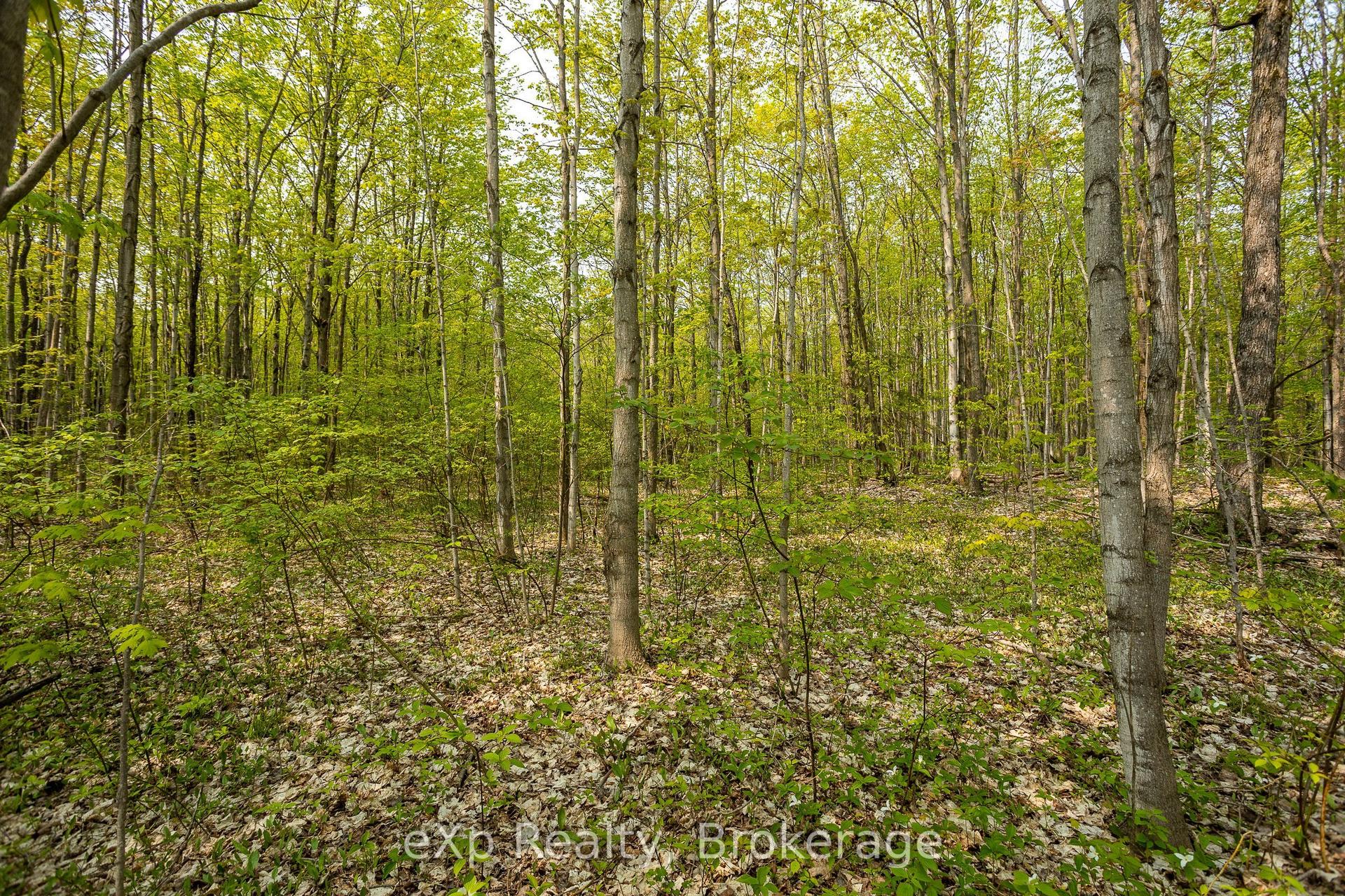 PT LOT 20 CON 5, Chatsworth — Land for sale, photo 1