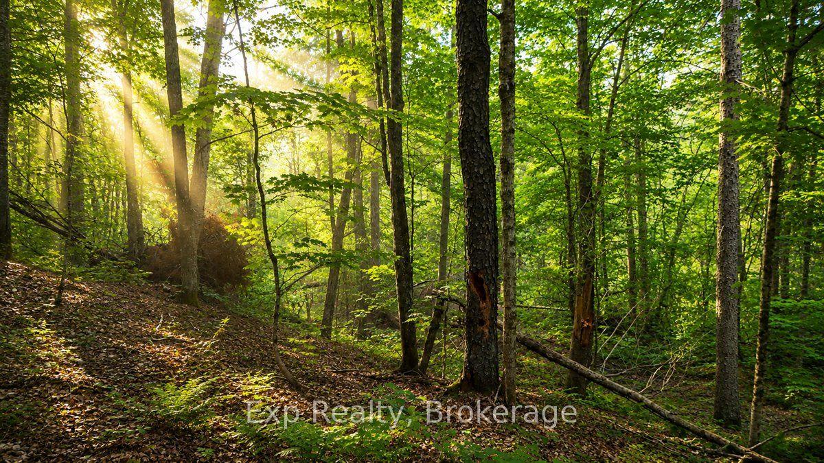 Lot 0 Contau Lake Road, Highlands East — Land for sale, photo 1