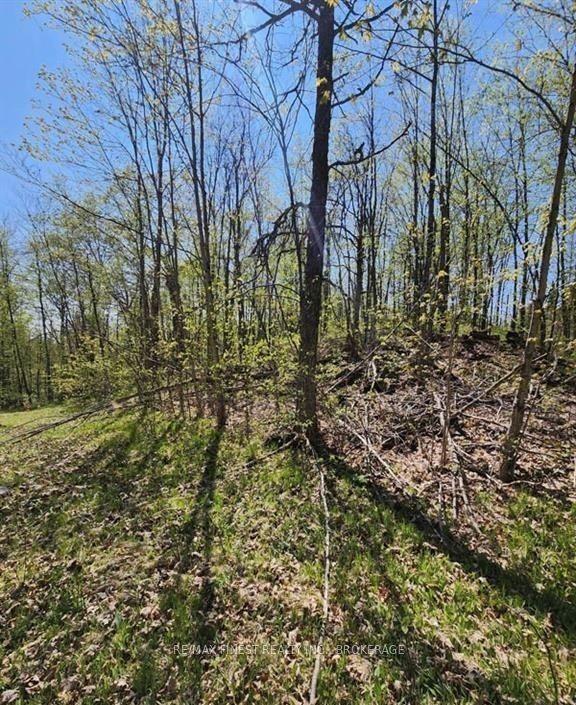 0 Burke Settlement Road, Frontenac — Land for sale, photo 1