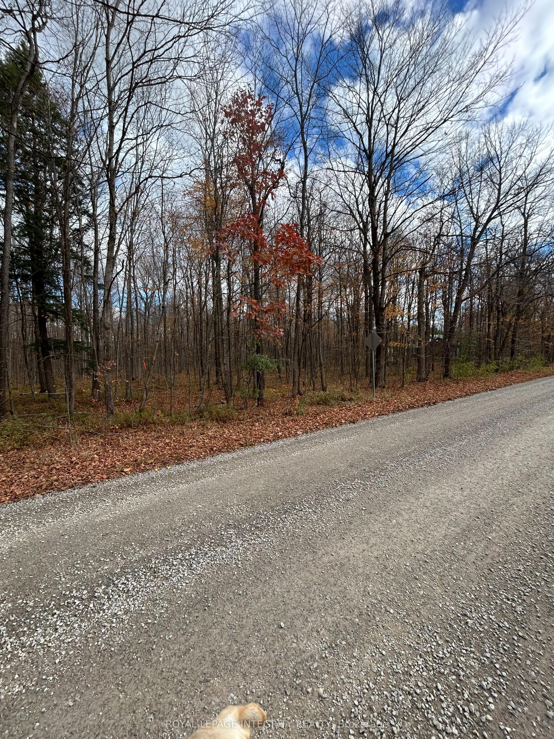 PT LT 17 Kyle Road, Augusta — Land for sale, photo 1