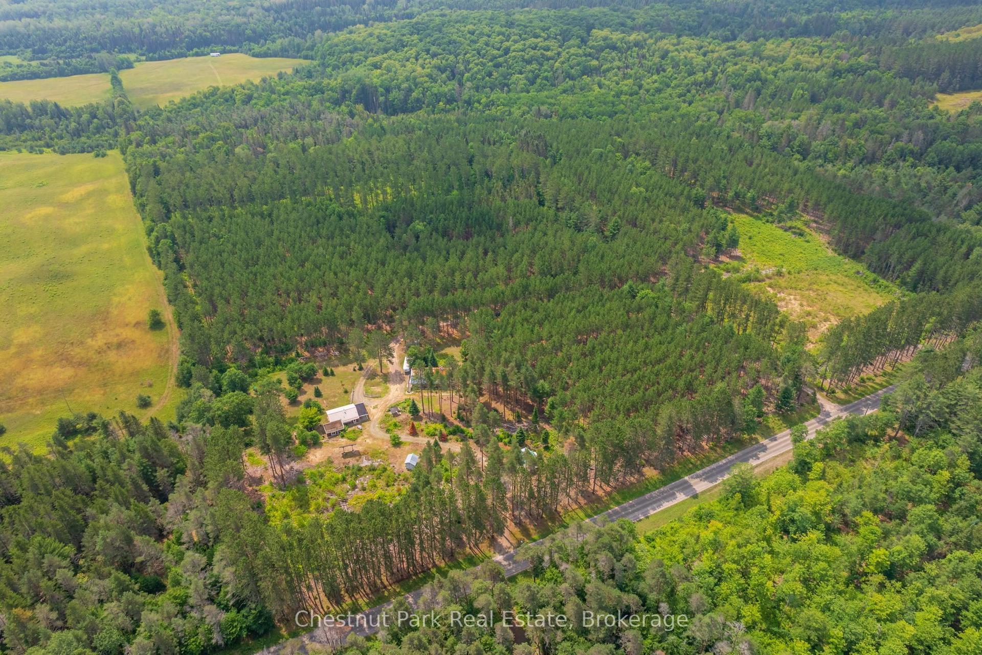 165 James Camp Road, Ryerson — Detached for sale, photo 1