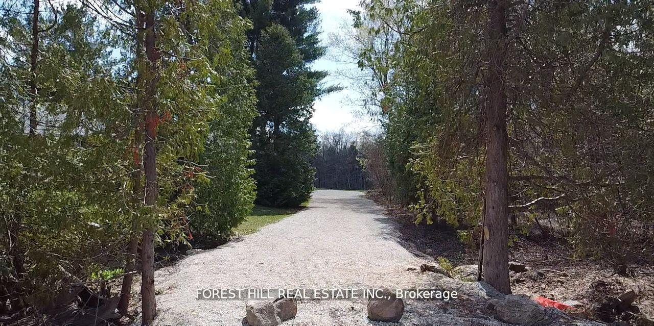 7406 17 Side Road — photo 1