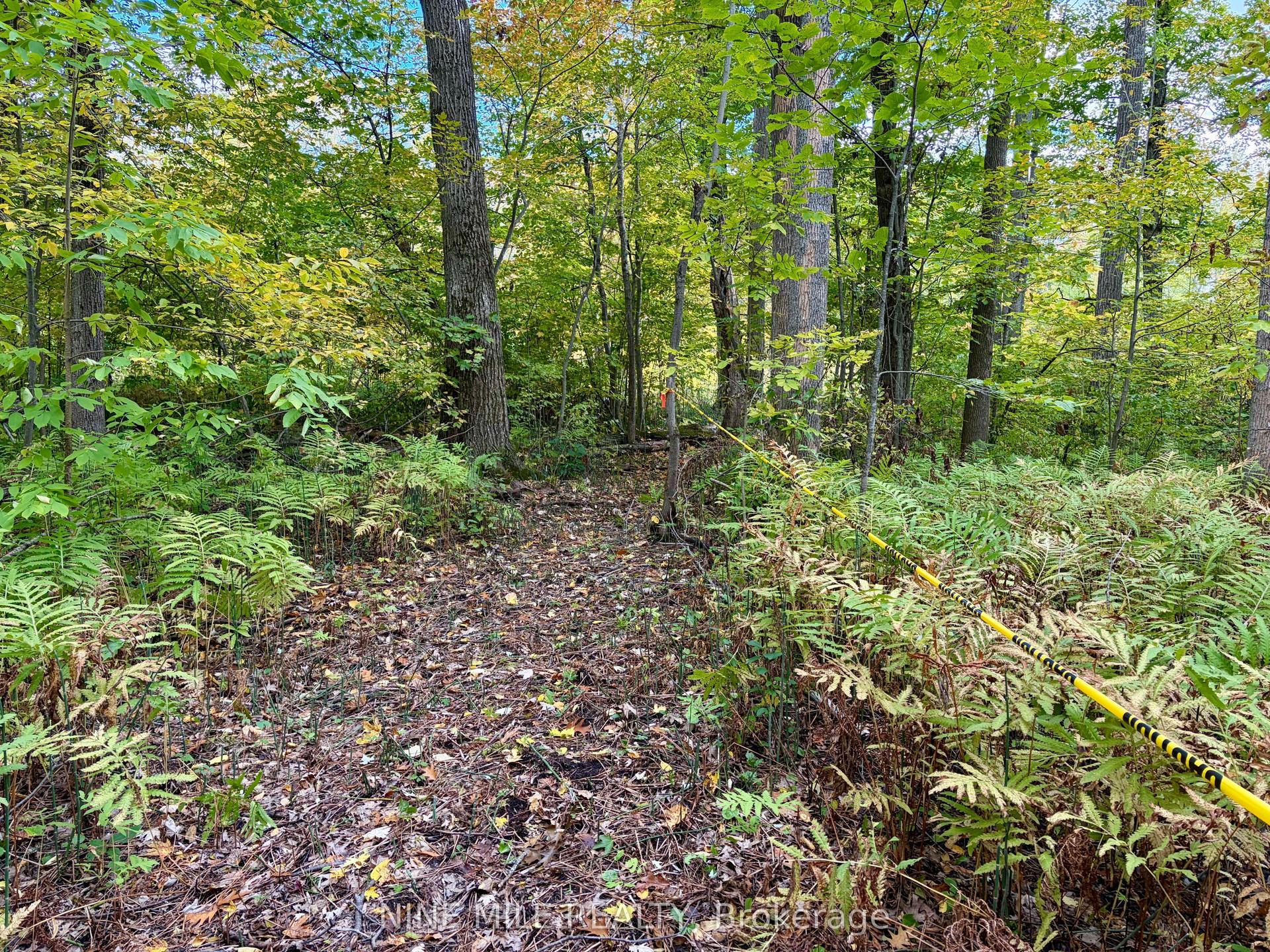 3159 Switch Road, Ramara — Land for sale, photo 1