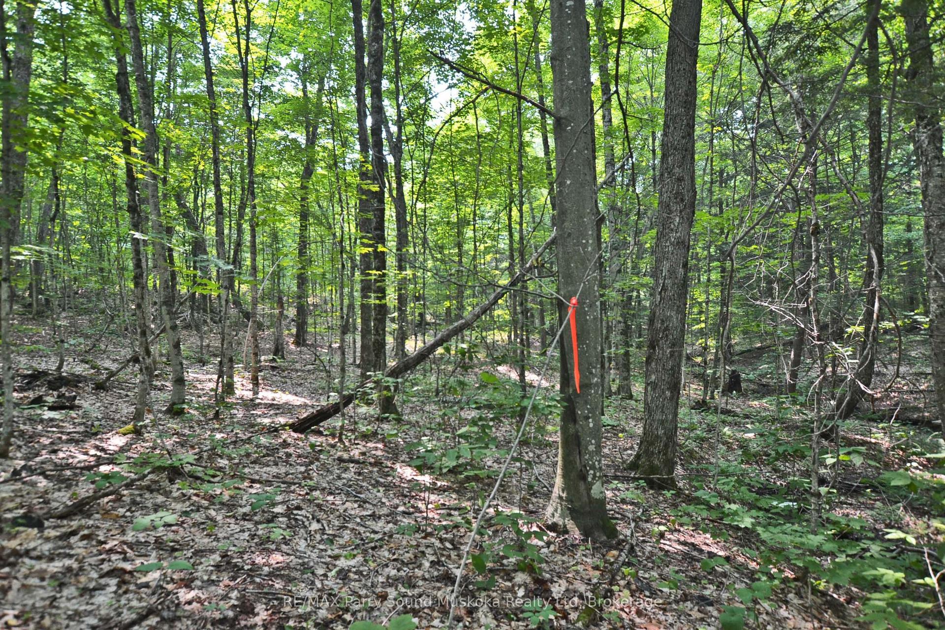 0 Lyndsey Lane Part 2 #Part 2 — photo 1